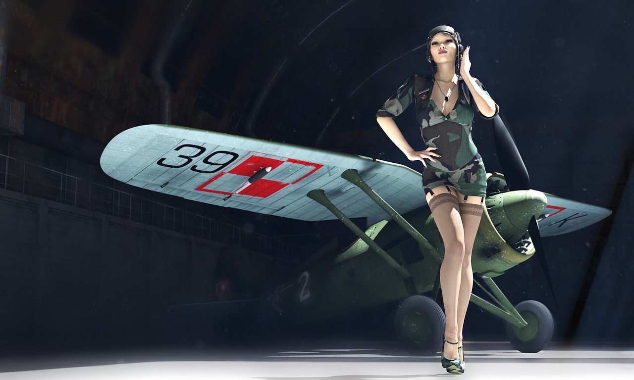 Pzl P11, Prisegti, 3D Modelis, Pilotas, Moteris Pilotas, Vienoda Moteris, Aviacija, Kojinės, Smeigtukai, Aukštakulniai