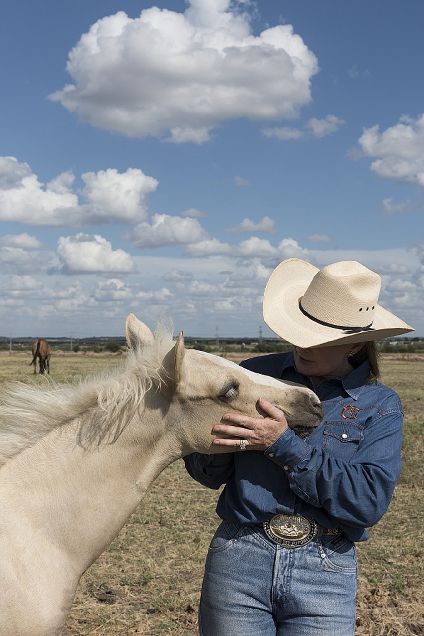 Ketvirtis Arklio,  Asilas,  Cowgirl,  Ranča,  Arkliai,  Jodinėjimas,  Rancher,  Galva,  Žaisti,  Portretas