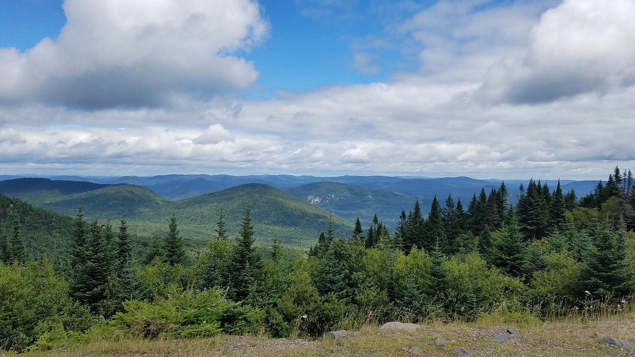 Quebec, Miškas, Gamta, Miškai, Kanada, Kraštovaizdis, Žalias, Medžiai, Dykuma, Nemokamos Nuotraukos