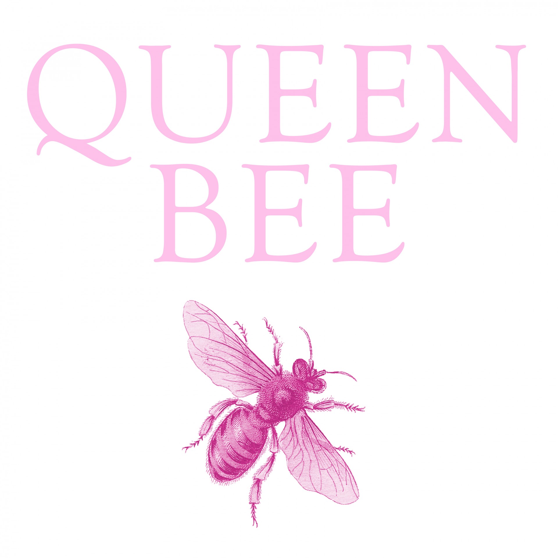 Karalienė & Nbsp,  Bitė,  Bičių,  Tekstas,  Vabzdys,  Rožinis,  Linksma,  Naujovė,  Scrapbooking,  Laisvas