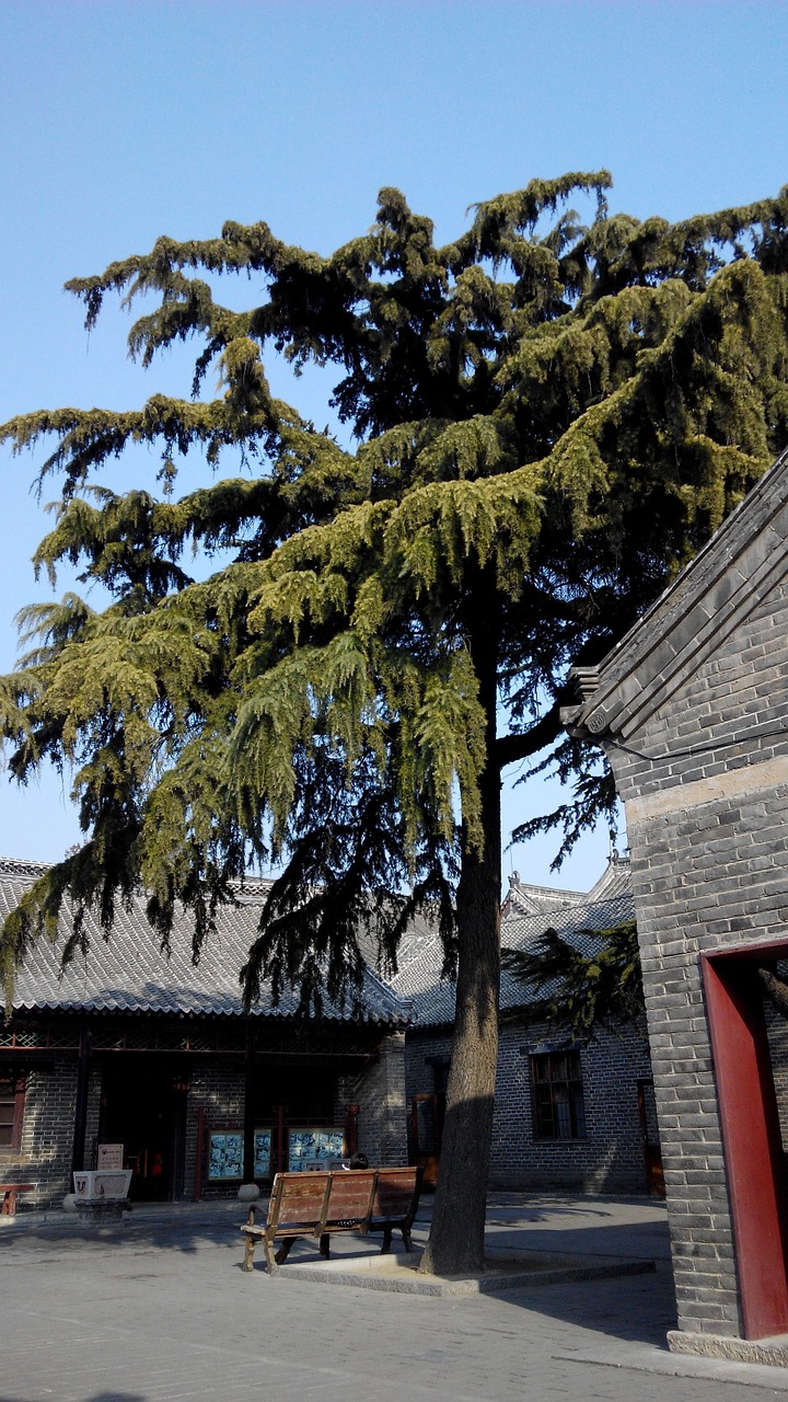 Qufu China Trys Skylės, Medžiai, Kraštovaizdis, Nemokamos Nuotraukos,  Nemokama Licenzija