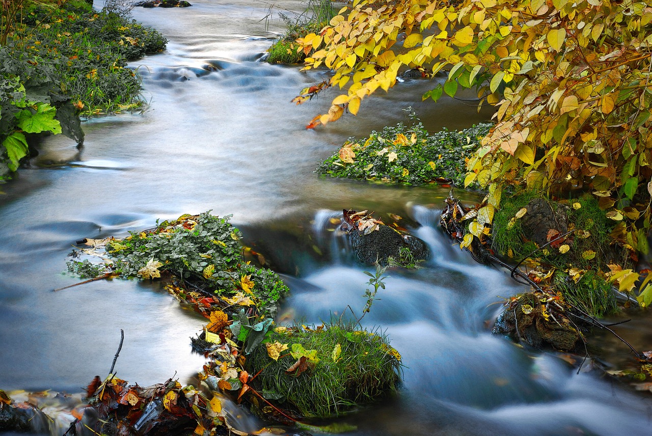 Racławka Slėnis, Racławka, Torrent, Miškas, Ruduo, Upė, Neryškus Vanduo, Eismas, Ilga Ekspozicija, Srautas