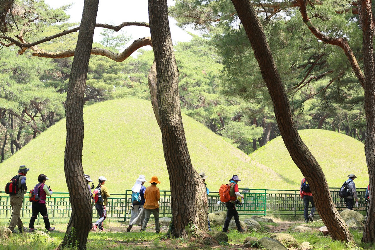 Turistinis, Žygiai, Pušis, Lenktynės, 10000000000000000 Savaičių Savaites, Samreung, Kapas, Kapas, Pušynų Giraitė, Nemokamos Nuotraukos