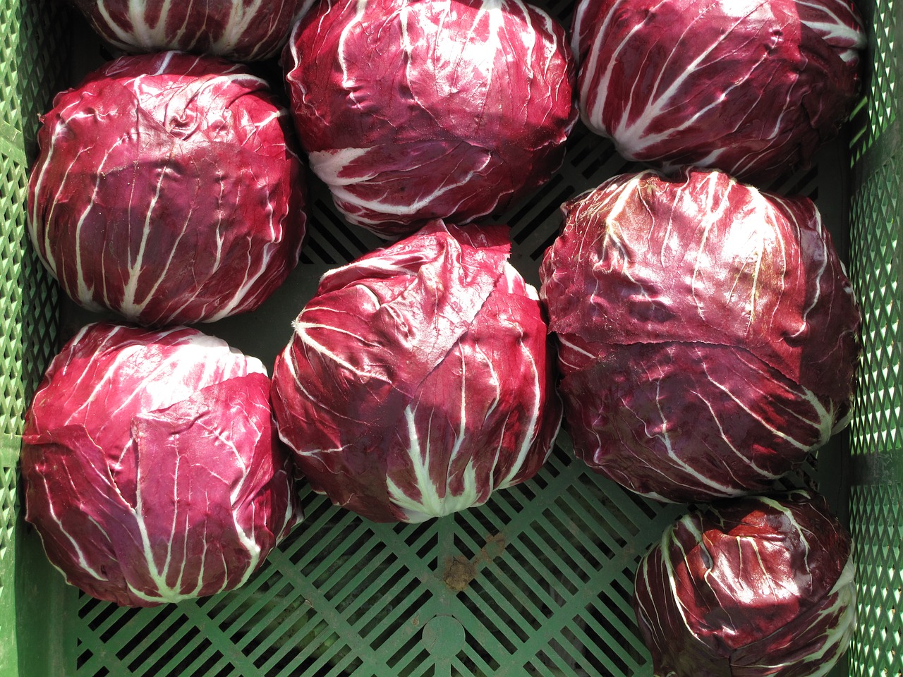 Radicchio, Daržovės, Salotos, Mityba, Raudona, Sveikas, Maistas, Vitaminai, Parduoti Šviežias Daržoves, Valgyti