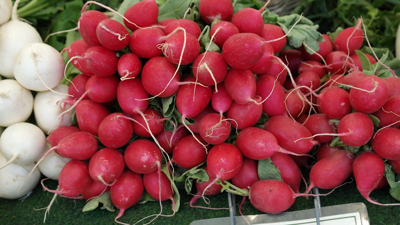 Radieschen, Daržovės, Ūkininkų Turgus, Sodas, Maistas, Sveikas, Gamta, Raudona, Frisch, Sezoninis