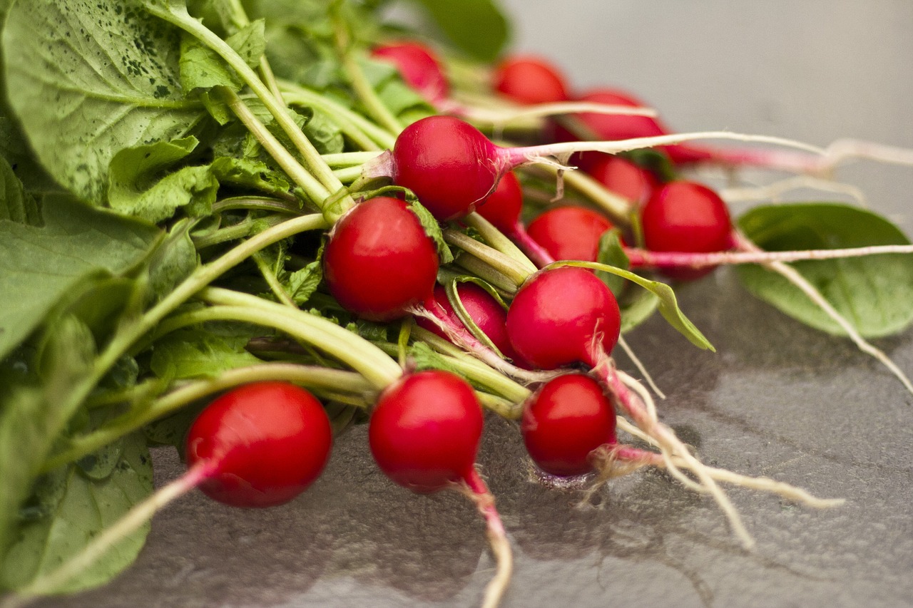 Ridikėliai,  Ridikai,  Sodas,  Sodininkystė,  Daržovės,  Šviežias,  Maisto,  Organinė,  Vegetariškas, Nemokamos Nuotraukos