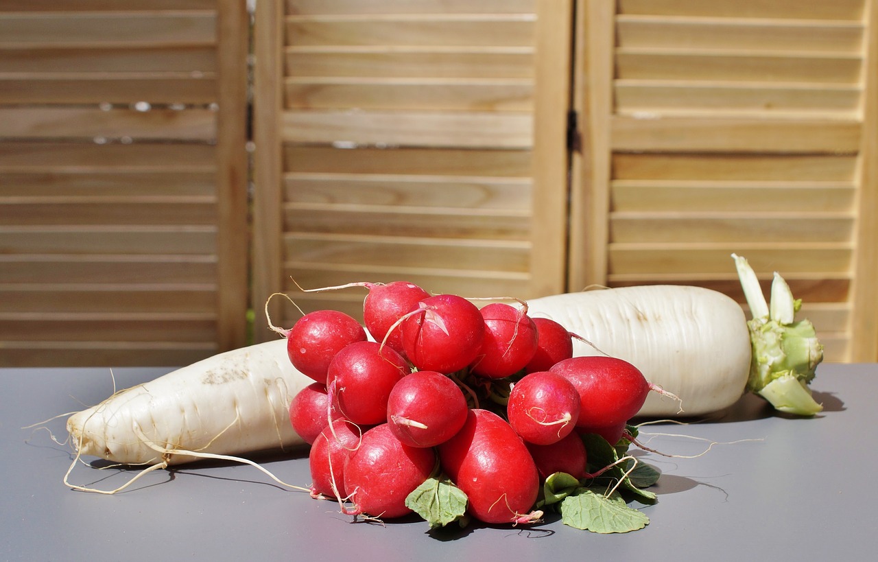 Ridikai, Ridikėliai, Daržovės, Maistas, Sveikas, Vitaminai, Mityba, Valgyti, Augalas, Nemokamos Nuotraukos