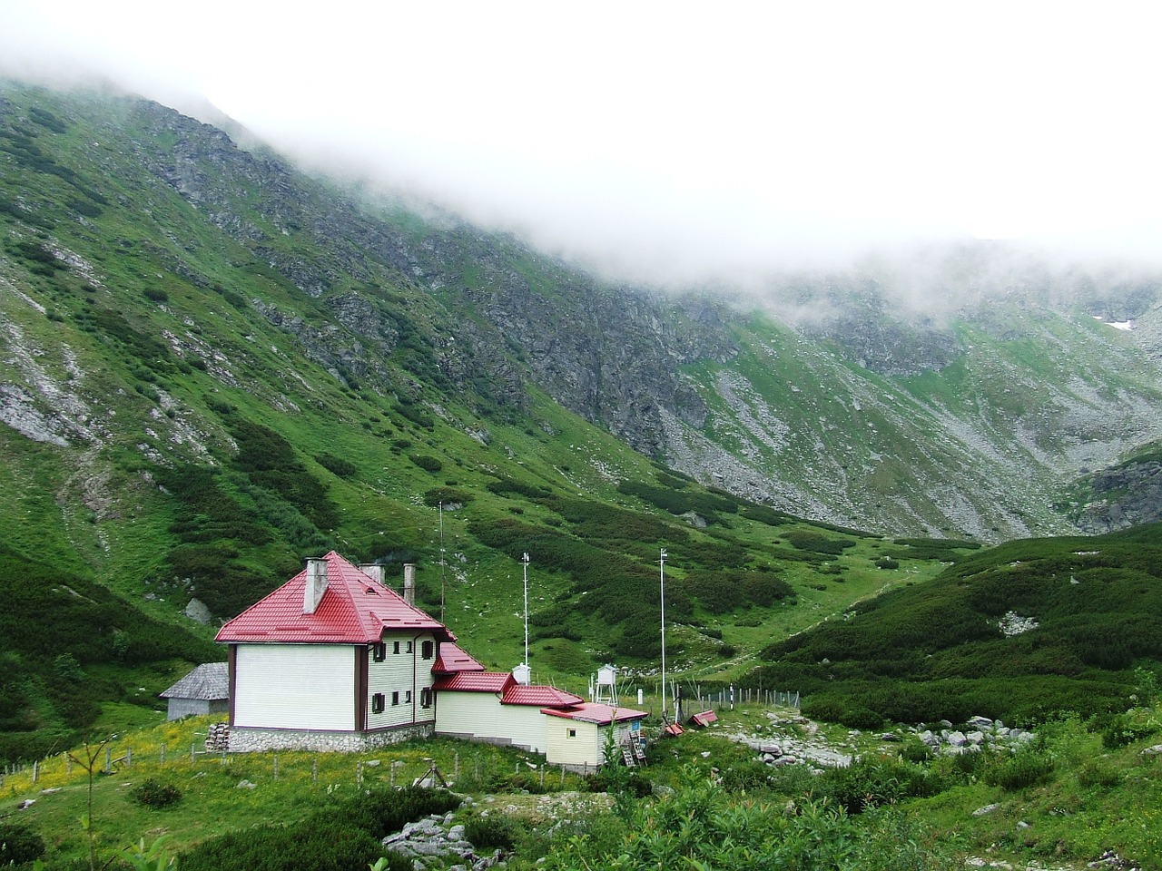 Radnai Sniegas, Pietrosz, Maramures, Borsa, Transilvanija, Oro Stotis, Kalnai, Törpefenyves, Klimatas, Nemokamos Nuotraukos