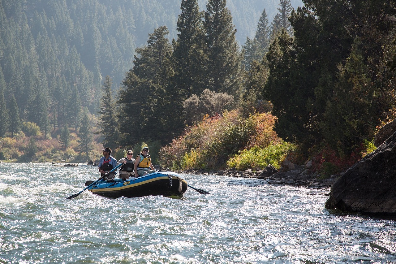 Rafting,  Upė,  Vanduo,  Sportas,  Kraštovaizdis,  Baltas Vanduo,  Plūdė,  Irklas,  Komandinis Darbas,  Padengti Gaudyklės Kanjonu