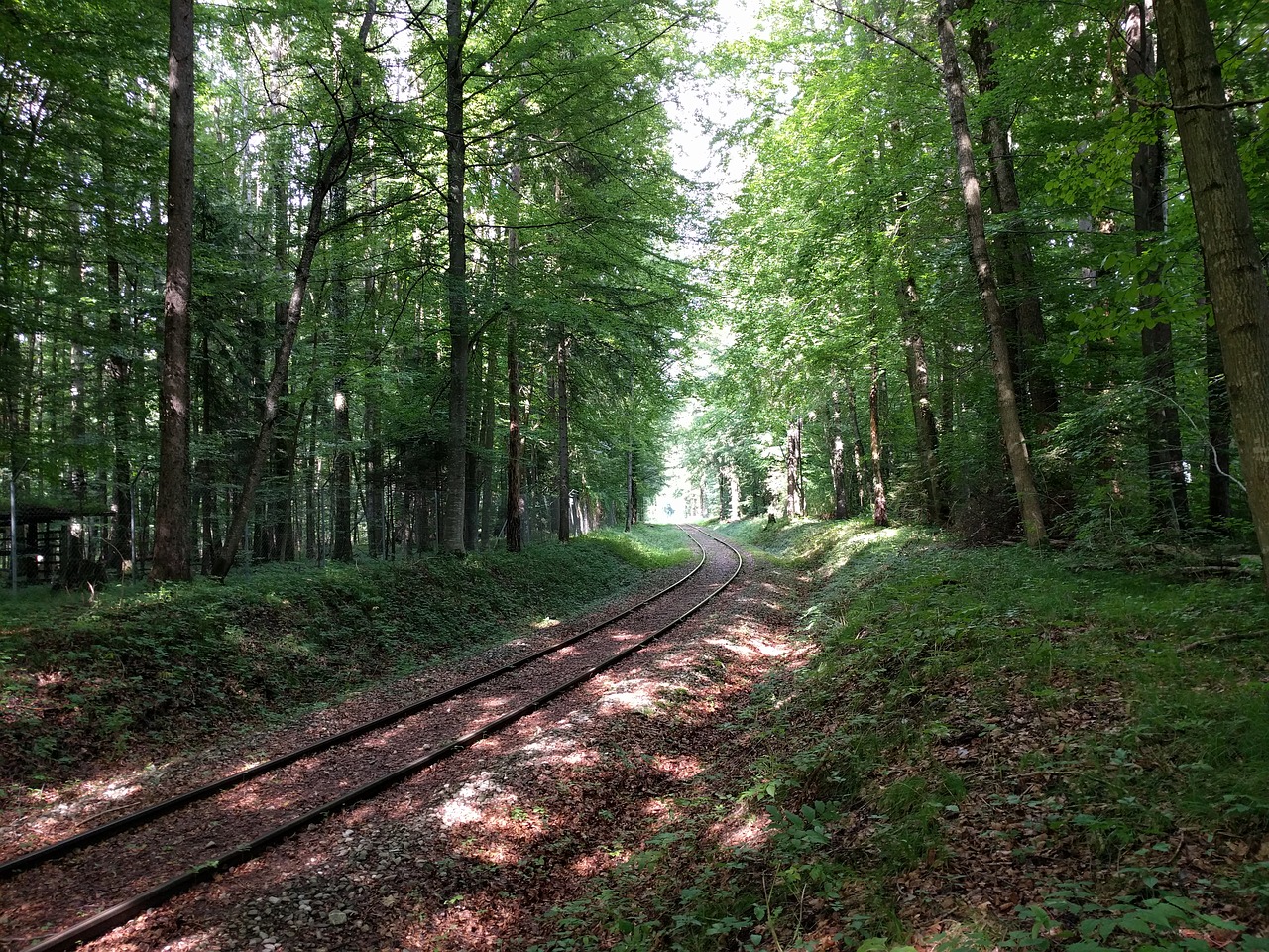 Geležinkelis, Palikti, Miškas, Geležinkelio Bėgiai, Trasa, Atrodė, Traukinys, Geležinkelio Bėgiai, Bėgių Lovos, Žvyras