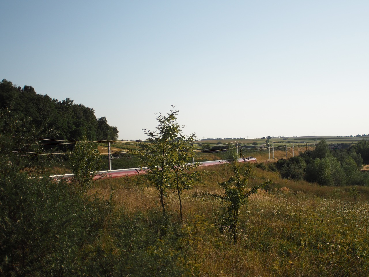 Geležinkelis, Traukinys, Oebb, Transportas, Loco, Geležinkelių Transportas, Viešosios Transporto Priemonės, Lokomotyvas, Atrodė, Geležinkelio Bėgiai