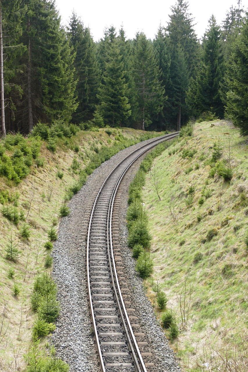 Geležinkelių Sistema, Geležinkelis, 2 Takeliai, Siauras Gabaritas, Harzquerbahn, Kreivė, Gamta, Miškas, Nemokamos Nuotraukos,  Nemokama Licenzija