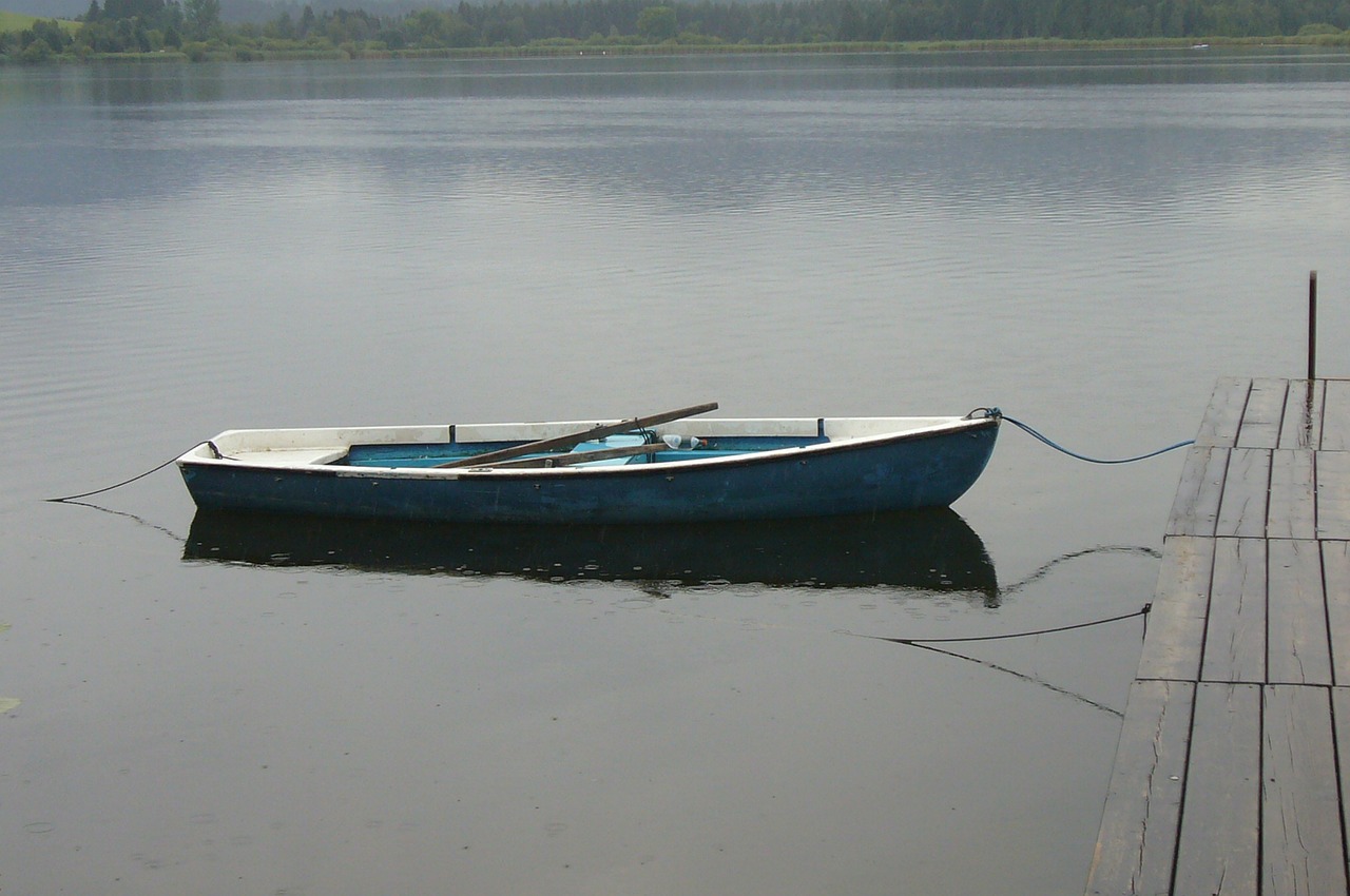 Lietus, Lašelinė, Lietaus Lašai, Švirkšti, Vasara, Boot, Vanduo, Šlapias, Purkšti, Vandens Purslai