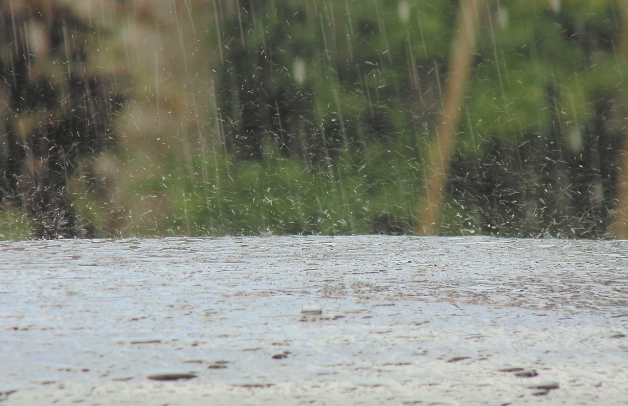 Lietus, Dėmesio, Nuotrauka, Lietingą, Klimatas, Lašai, Purslų, Nemokamos Nuotraukos,  Nemokama Licenzija