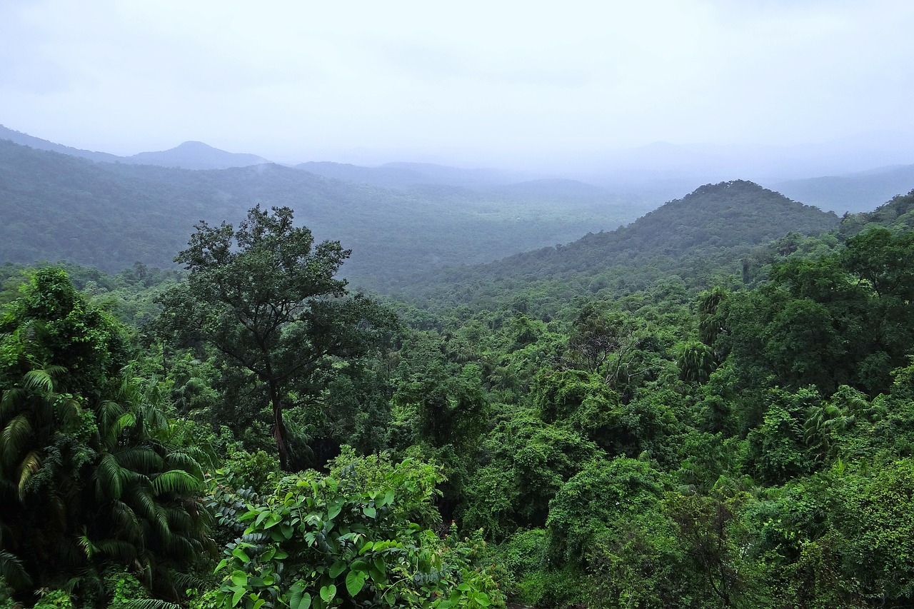 Atogrąžų Miškai, Mollemo Nacionalinis Parkas, Vakarų Gatas, Kalnai, Augmenija, Debesys, Goa, Indija, Nemokamos Nuotraukos,  Nemokama Licenzija