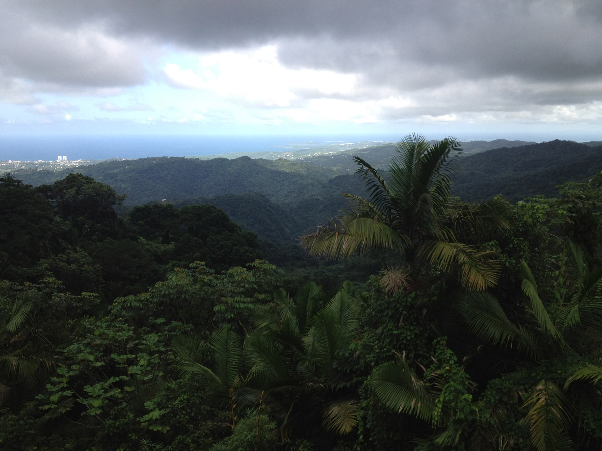 Atogrąžų Ir Nbsp,  Lietaus Miškas,  Vandenynas,  Tropinė & Nbsp,  Lapija,  Vaizdingas & Nbsp,  Vista,  El & Nbsp,  Yunque,  Puerto & Nbsp