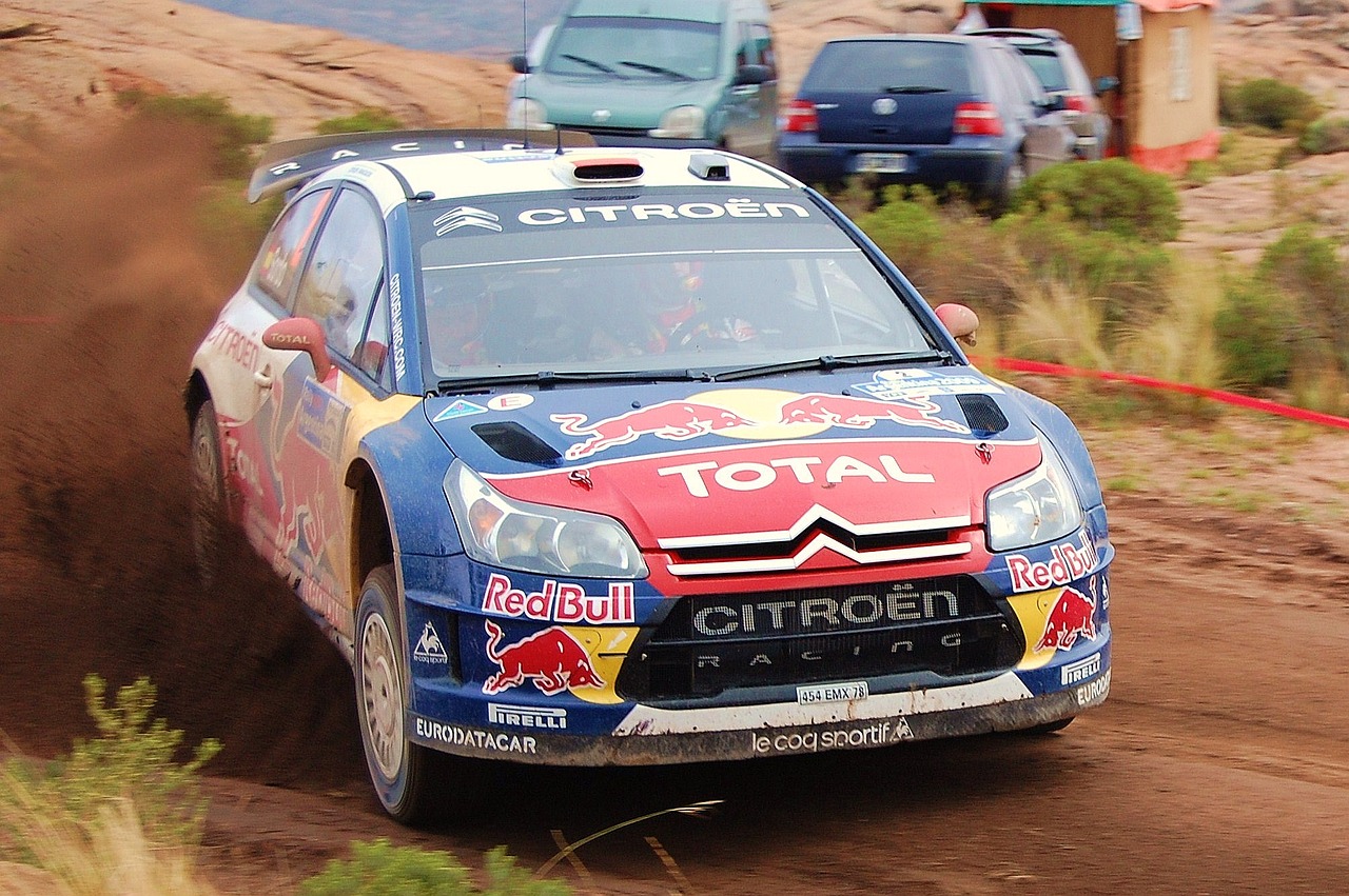 Ralis, 2009, Wrc, Žemė, Citroen, Nemokamos Nuotraukos,  Nemokama Licenzija