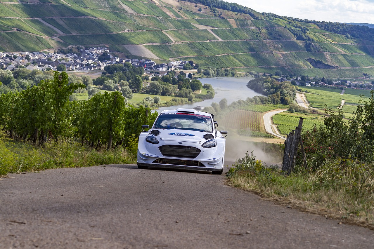 Rally,  Kraštovaizdis,  Vynmedis,  Pobūdį,  Sportas,  Asfaltas, Nemokamos Nuotraukos,  Nemokama Licenzija