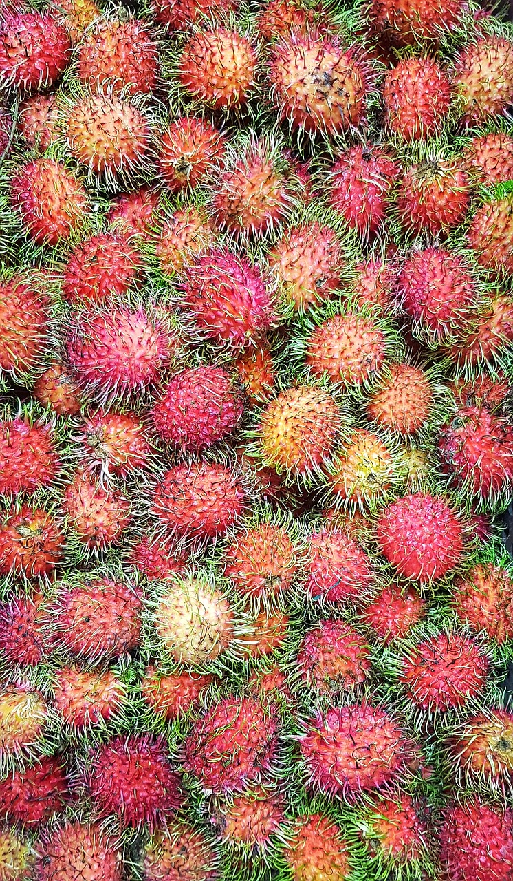 Rambutan,  Vaisių,  Marketplace,  Tropical,  Tailandas,  Valgomieji,  Pobūdį,  Spalva,  Floros,  Dygliuotas