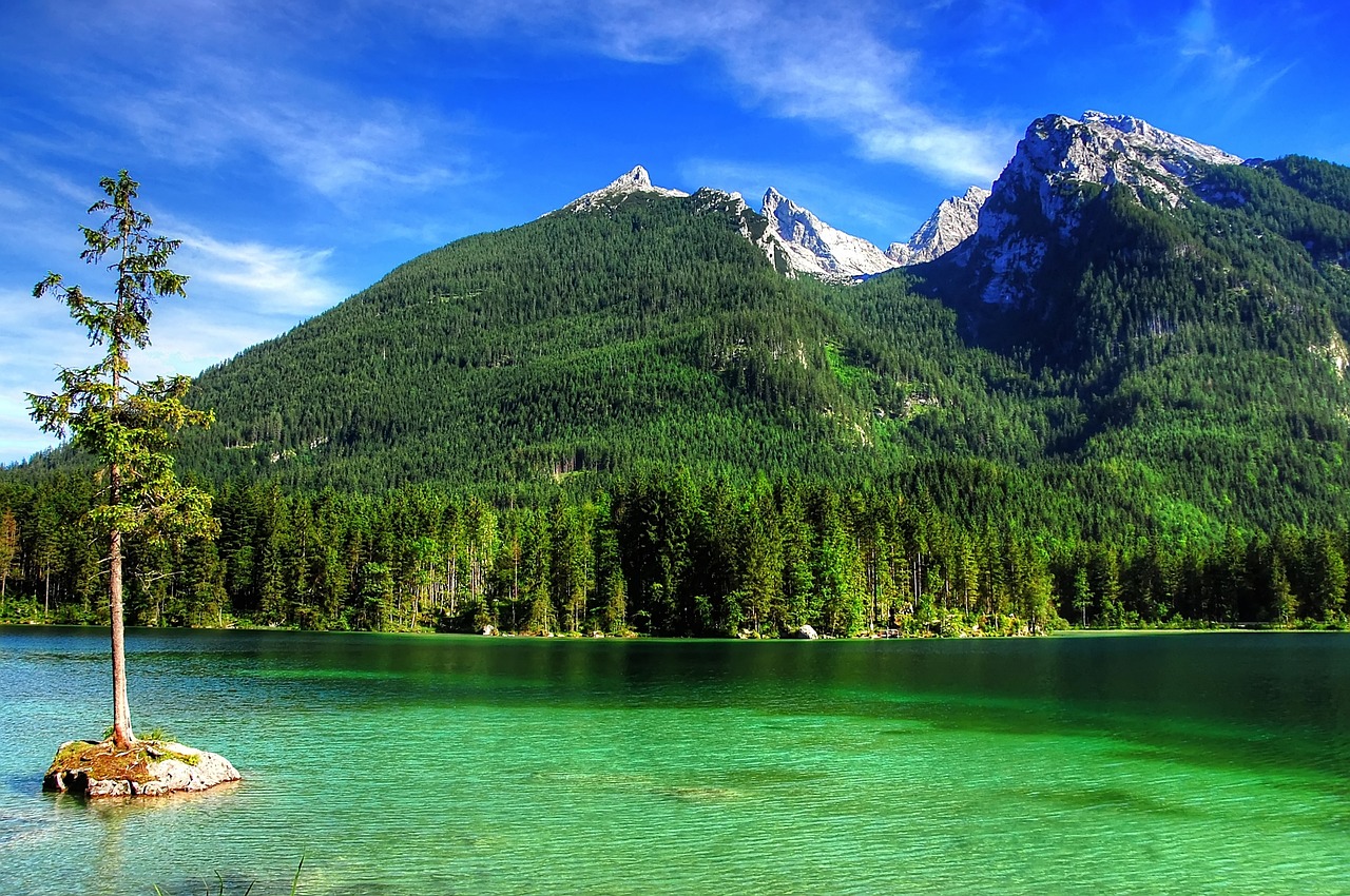 Ramsau, Kardu, Bavarija, Viršutinė Bavarija, Berchtesgaden, Kalnai, Ežeras, Berchtesgadeno Nacionalinis Parkas, Miškas, Vanduo