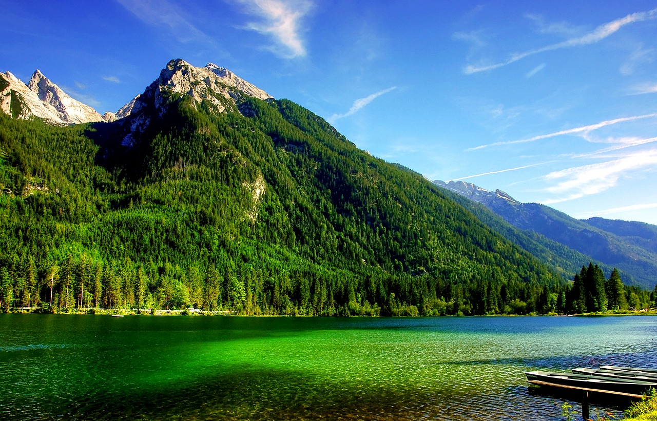 Ramsau, Kardu, Bavarija, Viršutinė Bavarija, Berchtesgaden, Kalnai, Ežeras, Berchtesgadeno Nacionalinis Parkas, Miškas, Vanduo