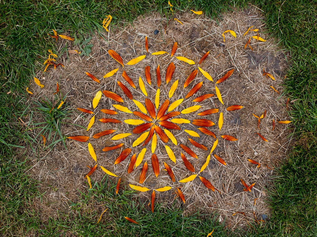 Rangoli, Gamtos Menas, Landart, Gėlės, Mozaika, Laisvalaikis, Menas, Gamta, Žiedlapiai, Pieva