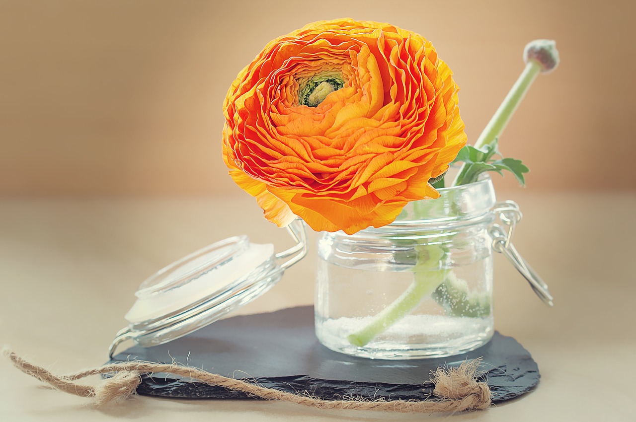 Ranunculus, Gėlė, Žiedlapiai, Žiedas, Žydėti, Oranžinė, Pavasaris, Gėlių Vaza, Uždaryti, Nemokamos Nuotraukos