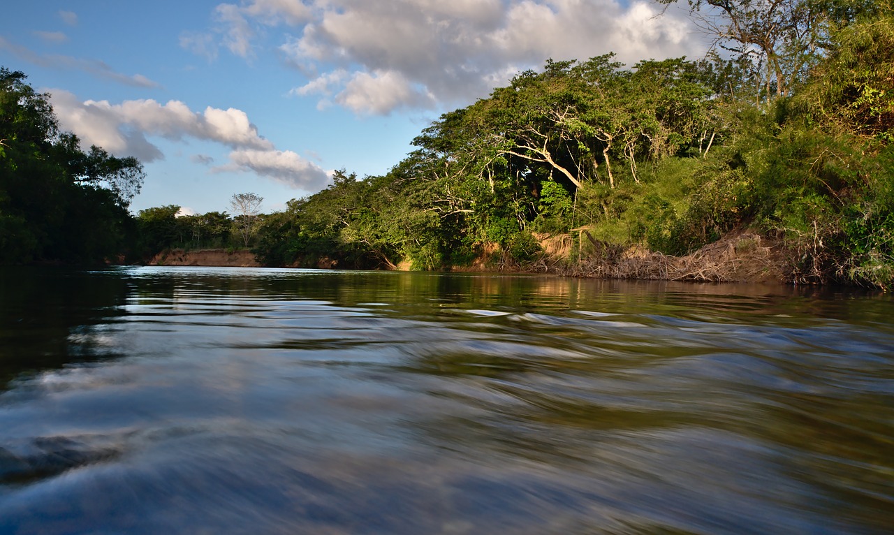 Greitai,  Vandens,  Srautas,  Srautas,  Stiprus,  Pavojinga,  Upė,  Judesio,  Medžiai,  Belize
