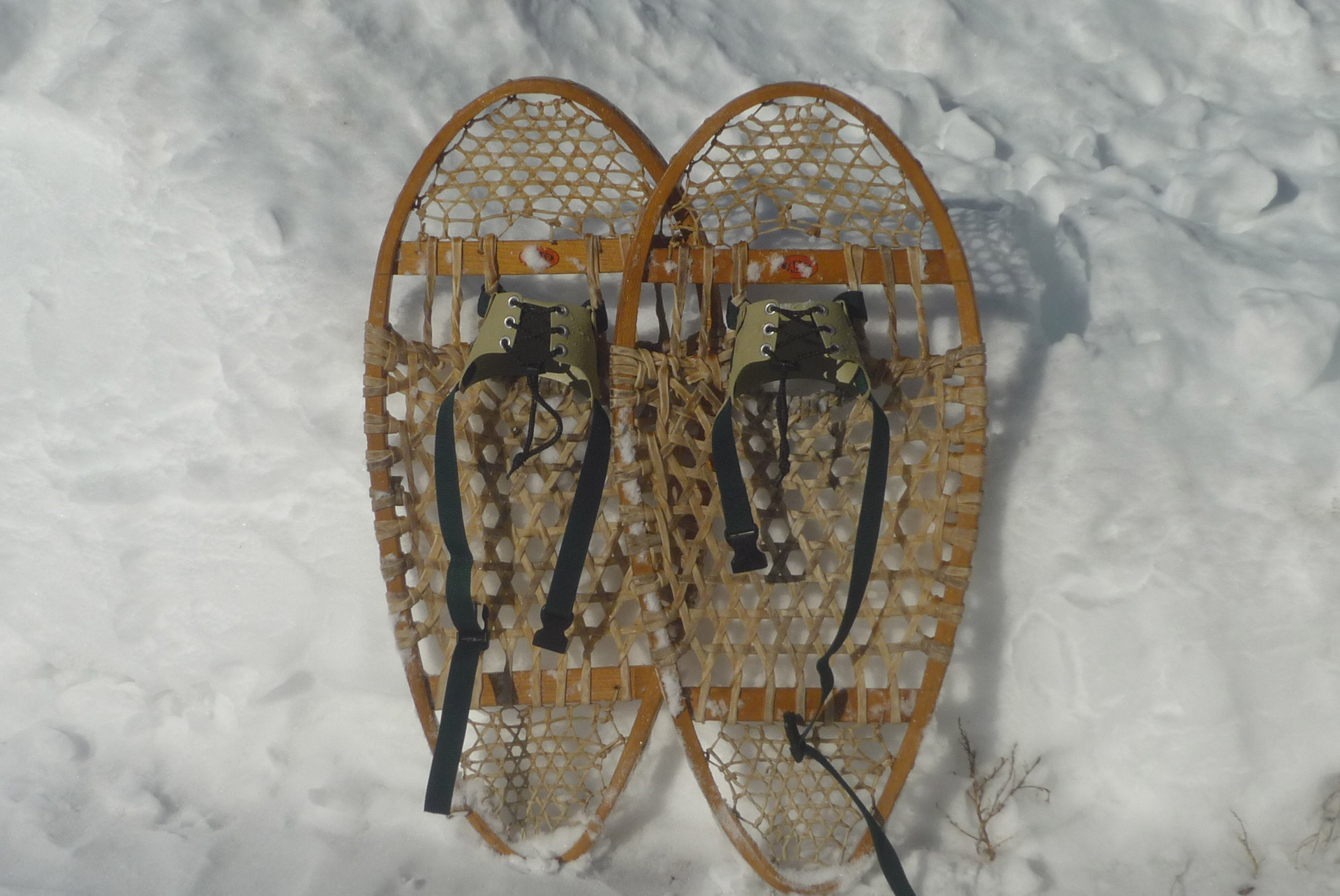 Snowshoeing,  Sniegas,  Žiema,  Snowshoes # 1, Nemokamos Nuotraukos,  Nemokama Licenzija
