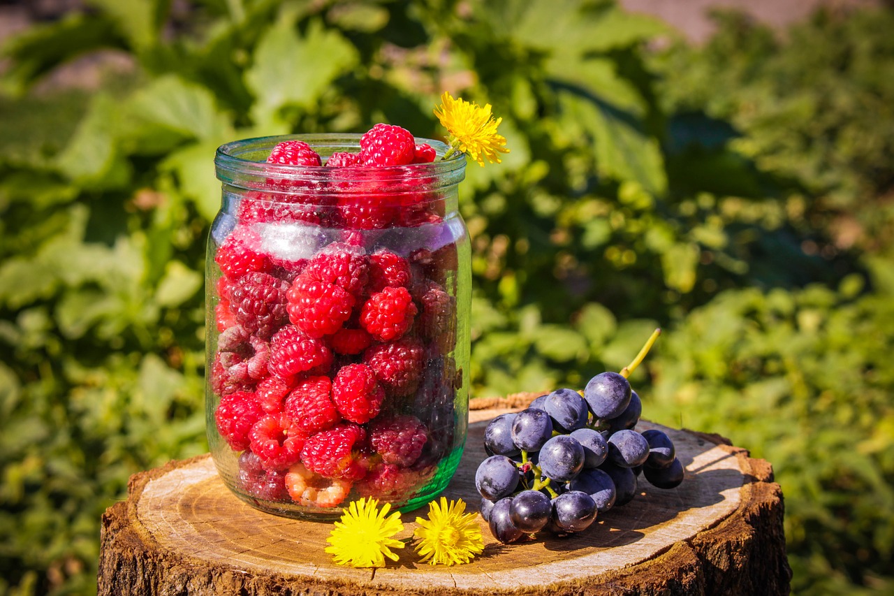 Aviečių,  Vasara,  Raudona,  Vitaminai,  Mitybos,  Šviežias,  Uoga,  Saldus,  Pobūdį,  Maisto