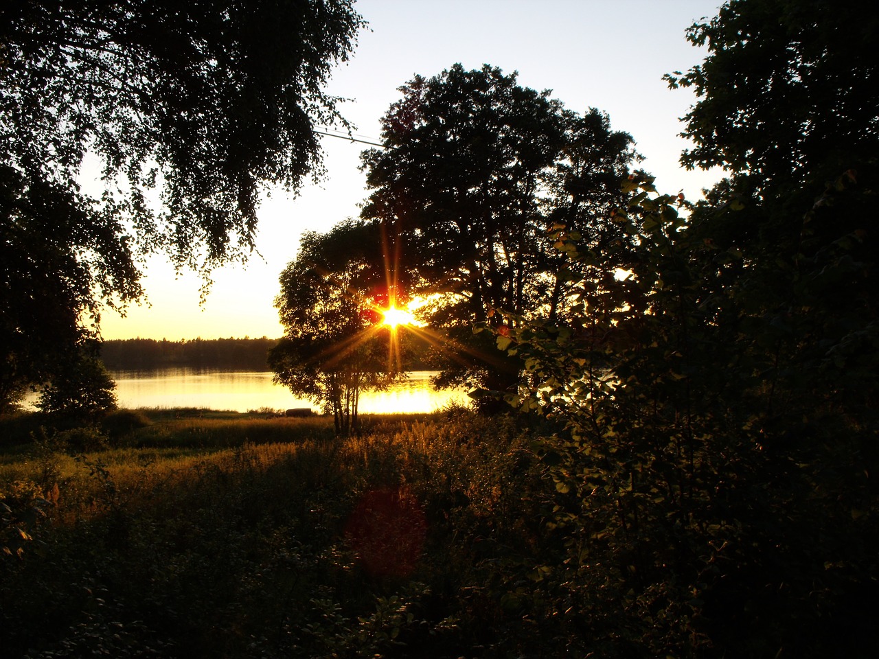 Saulės Spinduliai, Medis, Kietmedis, Miškas, Parkas, Ežeras, Upė, Vakaras, Saulėlydis, Nemokamos Nuotraukos