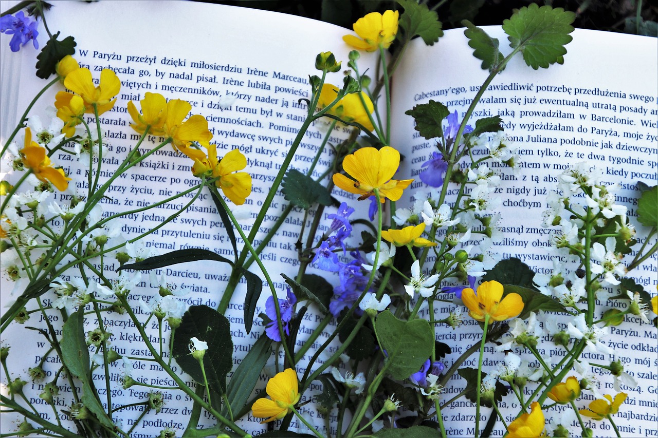 Skaityti,  Gėlė,  Augalų,  Pobūdį,  Lapų,  Ši Knyga Yra,  Rašymas,  Ne Iš Teismo,  Šviežumas,  Niekas