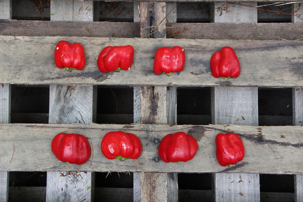 Raudona, Mediena, Capsicum, Padėklas, Medinis, Dizainas, Apdaila, Kaimiškas, Simbolis, Maistas