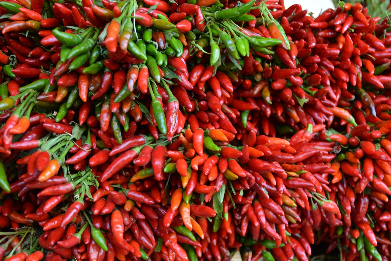 Raudona, Čili, Valgomieji, Ankštiniai, Maistas, Paprika, Pikantiškas, Valgyti, Pipirai, Ryškumas