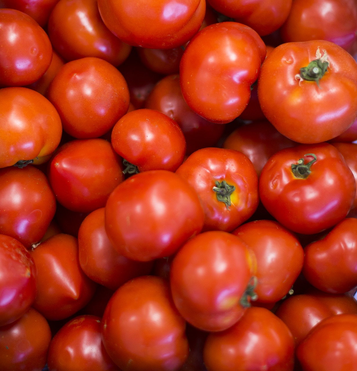 Raudona, Pomidorai, Pomidoras, Daržovės, Nemokamos Nuotraukos,  Nemokama Licenzija