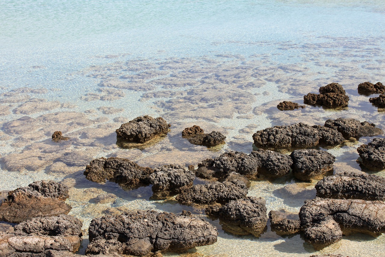 Raudoni Dangteliai, Australia, Stromatolitas, Kranto, Vanduo, Nemokamos Nuotraukos,  Nemokama Licenzija