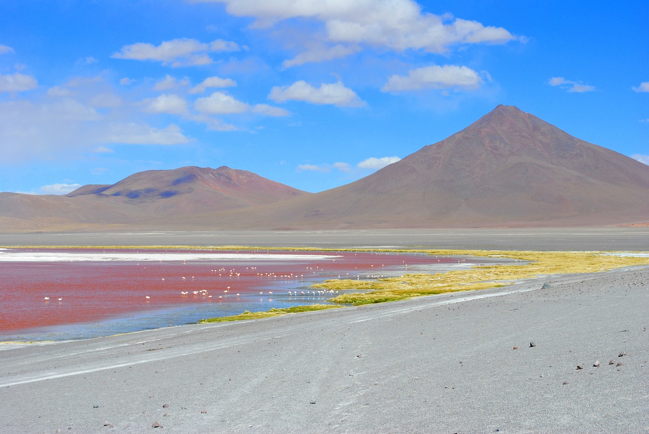 Raudona Laguna, Bolivija, Lagūnas, Kelionė, Andes, Altiplano, Nemokamos Nuotraukos,  Nemokama Licenzija