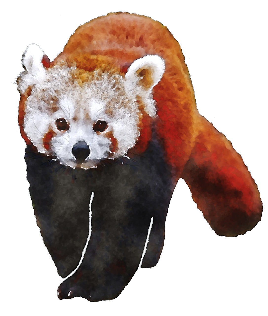 Raudonoji Panda, Akvarelė, Gyvūnas, Oekaki, Mielas, Nemokamos Nuotraukos,  Nemokama Licenzija