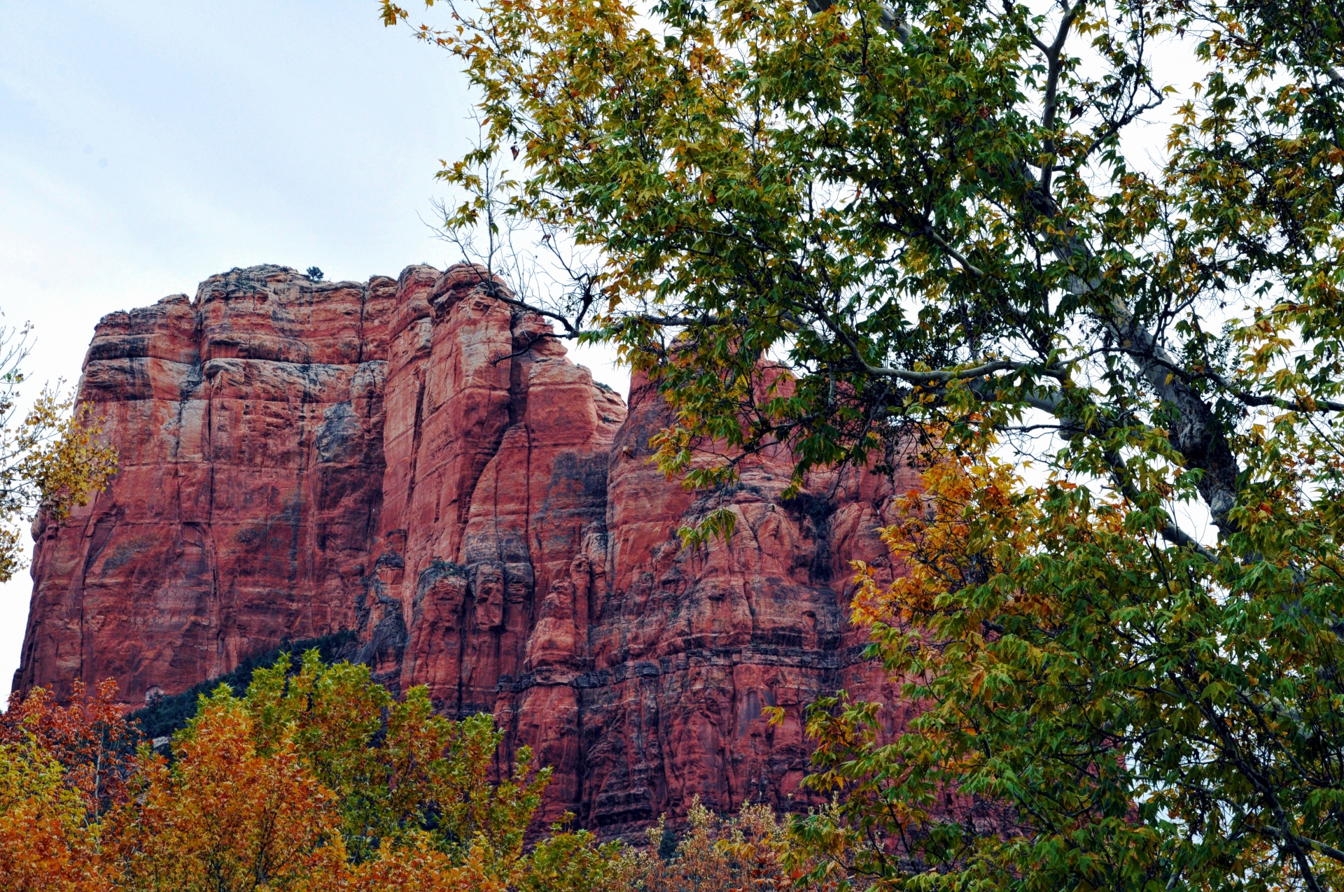 Dykuma,  Kalnas,  Raudona,  Raudonos & Nbsp,  Uolos,  Sedona,  Arizona,  Medžiai,  Raudonas Roko Kalnas Sedonoje, Nemokamos Nuotraukos