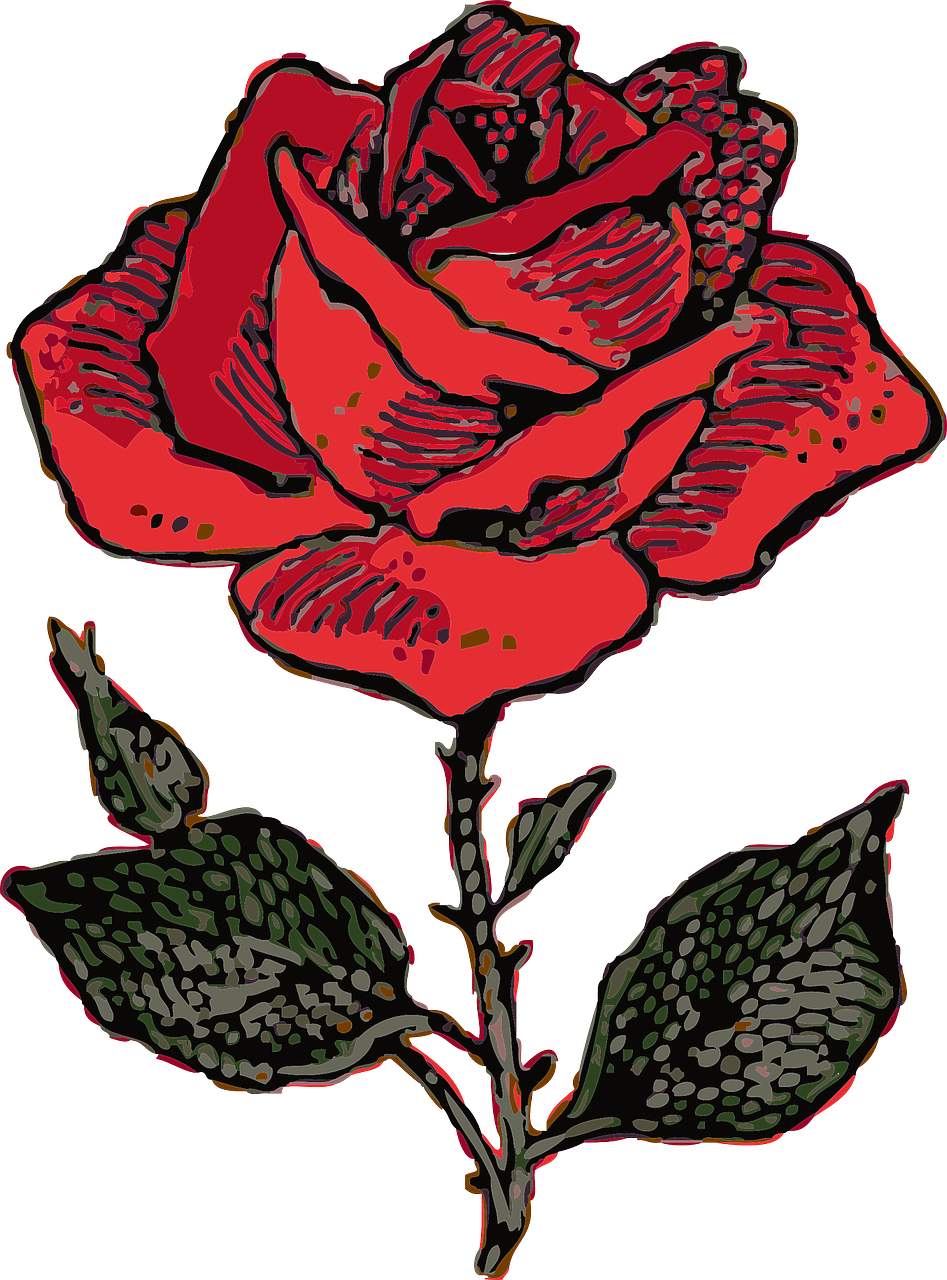 Raudona Roze, Meilė, Rosa, Rožė, Daugiamečių Gėlių, Žiedlapiai, Gėlė, Rožės, Nemokama Vektorinė Grafika, Nemokamos Nuotraukos