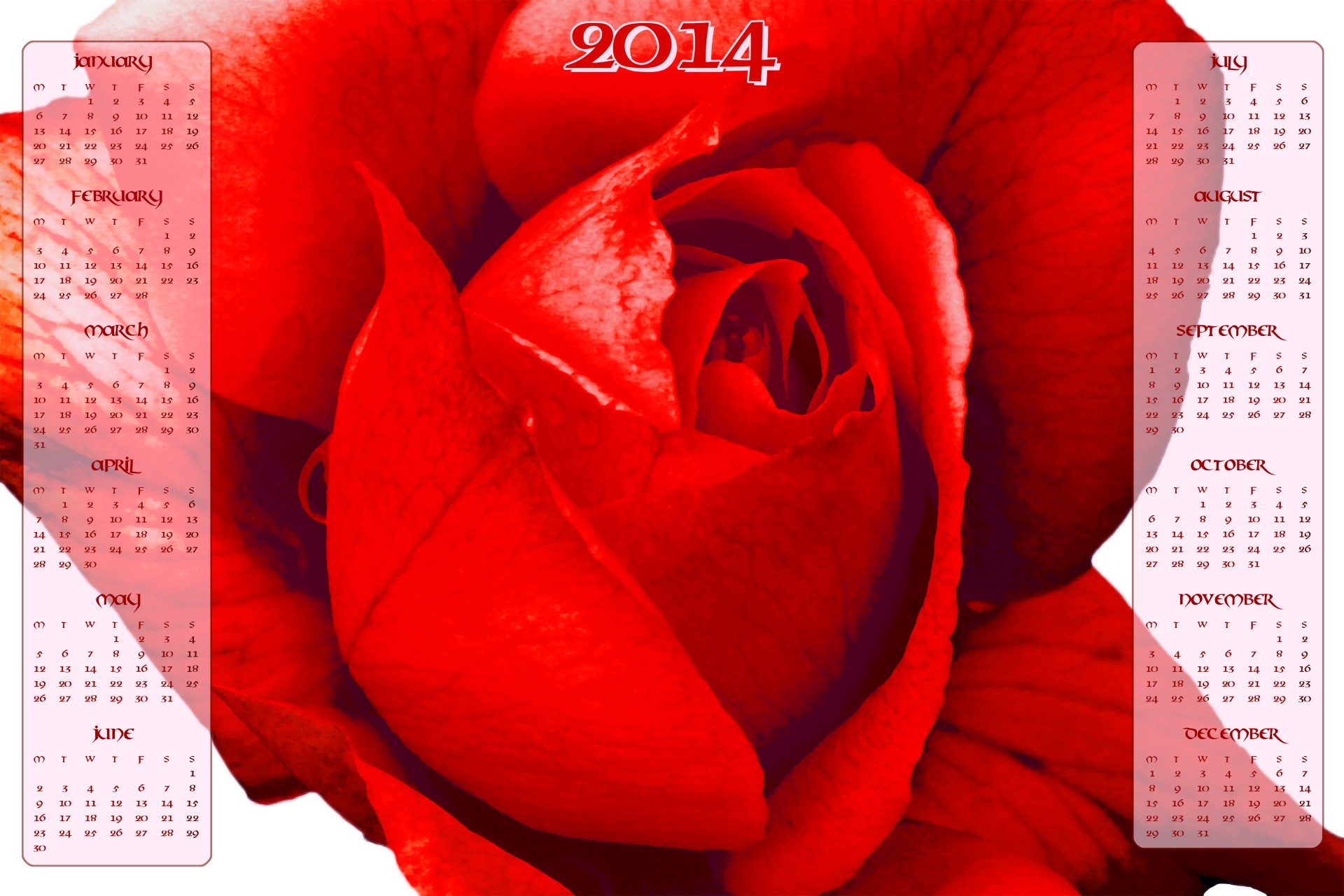 2014,  Kalendorius,  2014 & Nbsp,  Kalendorius,  Gėlė,  Rožė,  Raudona,  Raudona & Nbsp,  Rožė,  Nauji & Nbsp