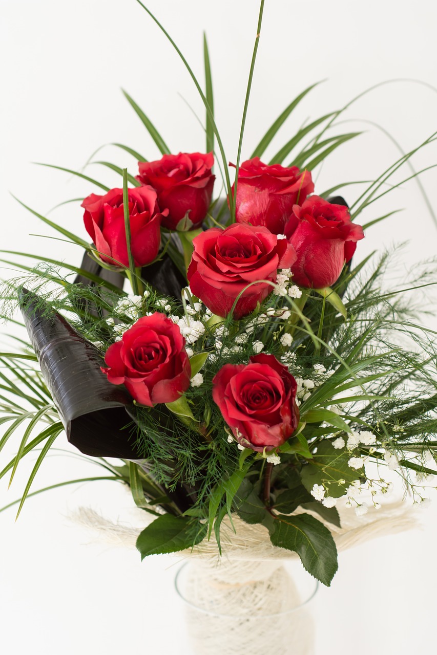 Raudonos Rožės, Rožės, Raudona, Gėlė, Meilė, Romantika, Romantiškas, Balta, Gėlių, Valentine