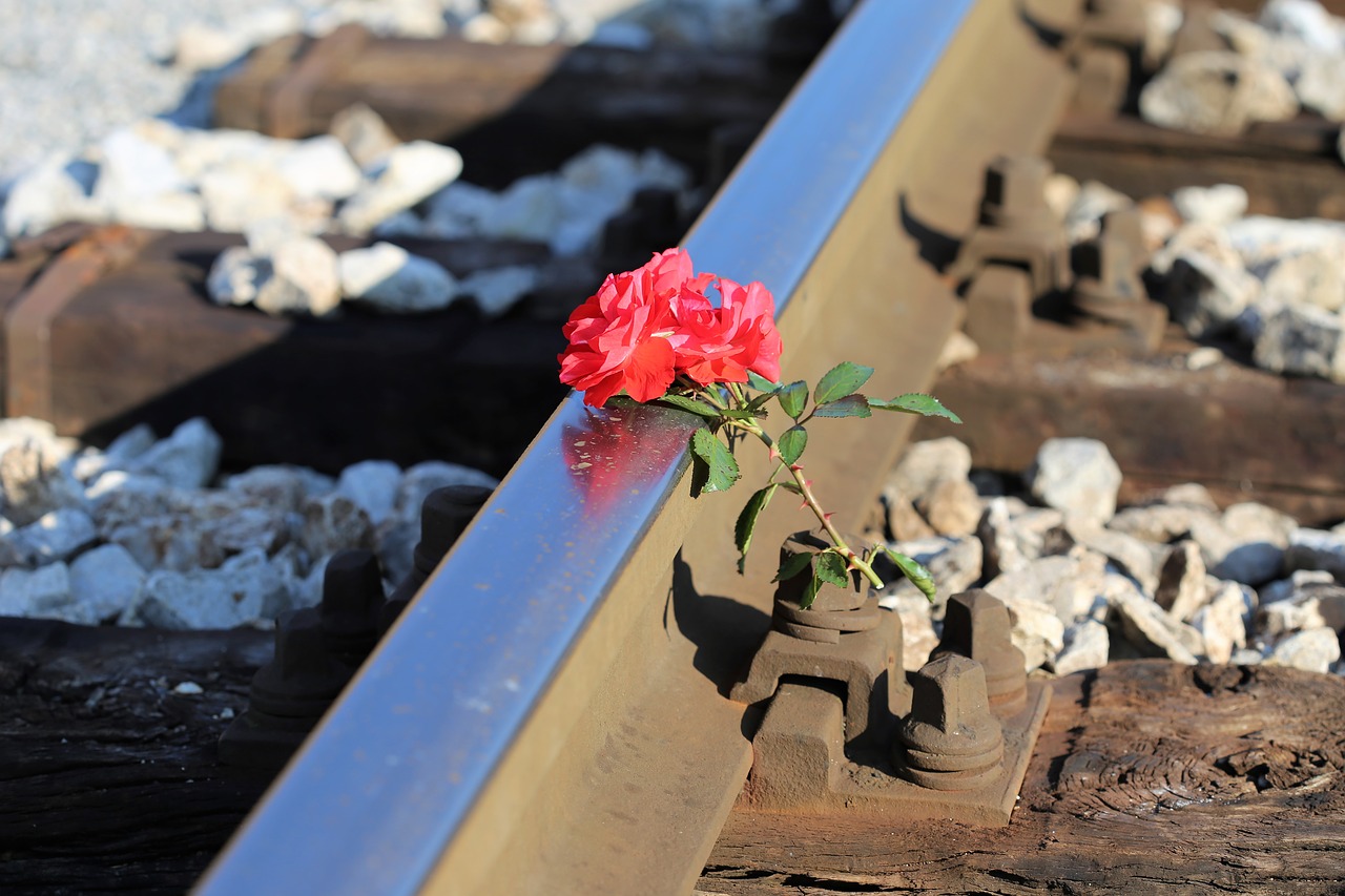 Raudonos Rožės Ant Geležinkelio, Traukinio Avarija, Vairuok Atsargiai, Tragedija, Prarastos Gyvenimo, Geležinkelio Pervaža, Nemokamos Nuotraukos,  Nemokama Licenzija