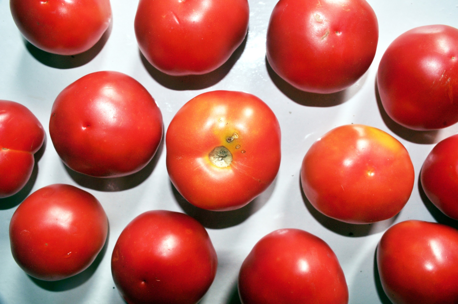 Pomidoras,  Daržovių,  Raudona,  Oranžinė,  Gamta,  Maistas,  Sultys,  Sveikata,  Derlius,  Virtuvė