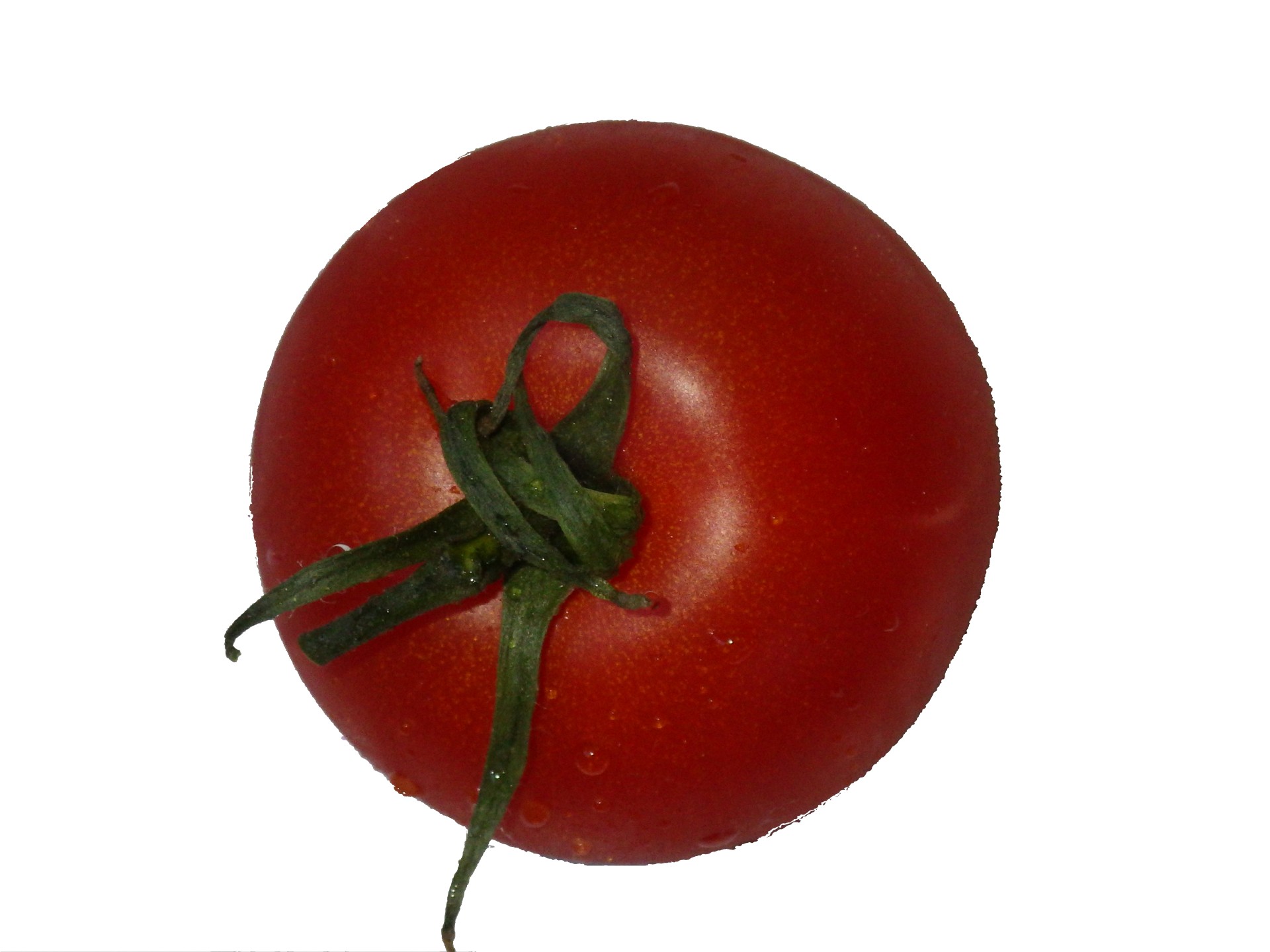 Pomidoras,  Raudona,  Balta,  Šviežias,  Iš Arti,  Izoliuotas,  Šlapias,  Vegetariškas,  Prinokę,  Žalias