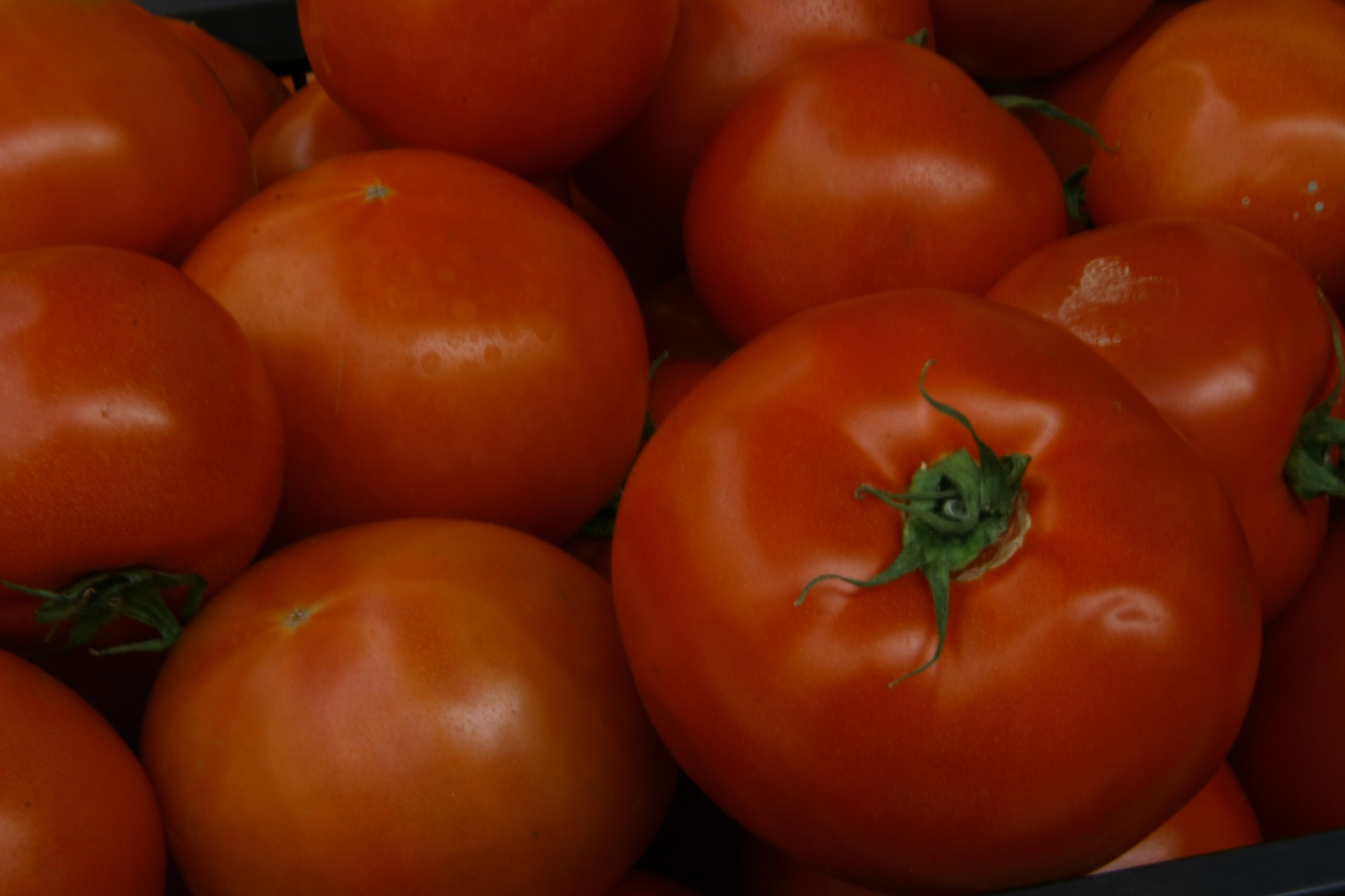 Raudona,  Pomidorai,  Raudoni Pomidorai, Nemokamos Nuotraukos,  Nemokama Licenzija
