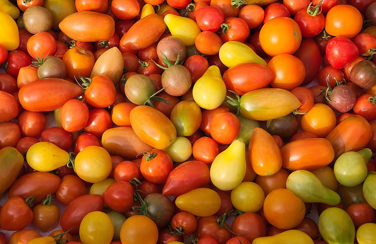 Raudoni Pomidorai, Geltoni Pomidorai, Apvalūs Pomidorai, Pailgi Pomidorai, Maistas, Sveikas, Vegetariškas, Nemokamos Nuotraukos,  Nemokama Licenzija