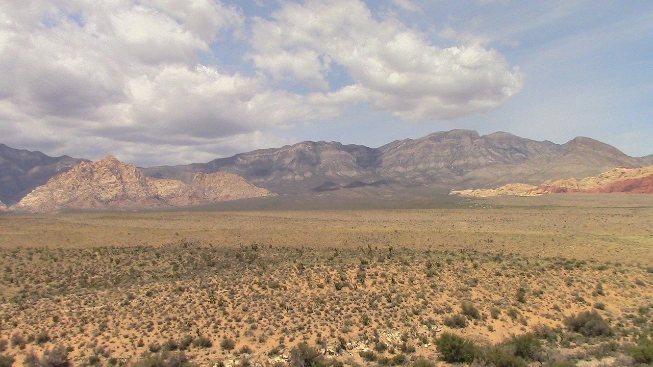 Redrock Kanjonas, Nevada, Kraštovaizdis, Lauke, Turizmas, Gamta, Smiltainis, Kaktusas, Nemokamos Nuotraukos,  Nemokama Licenzija