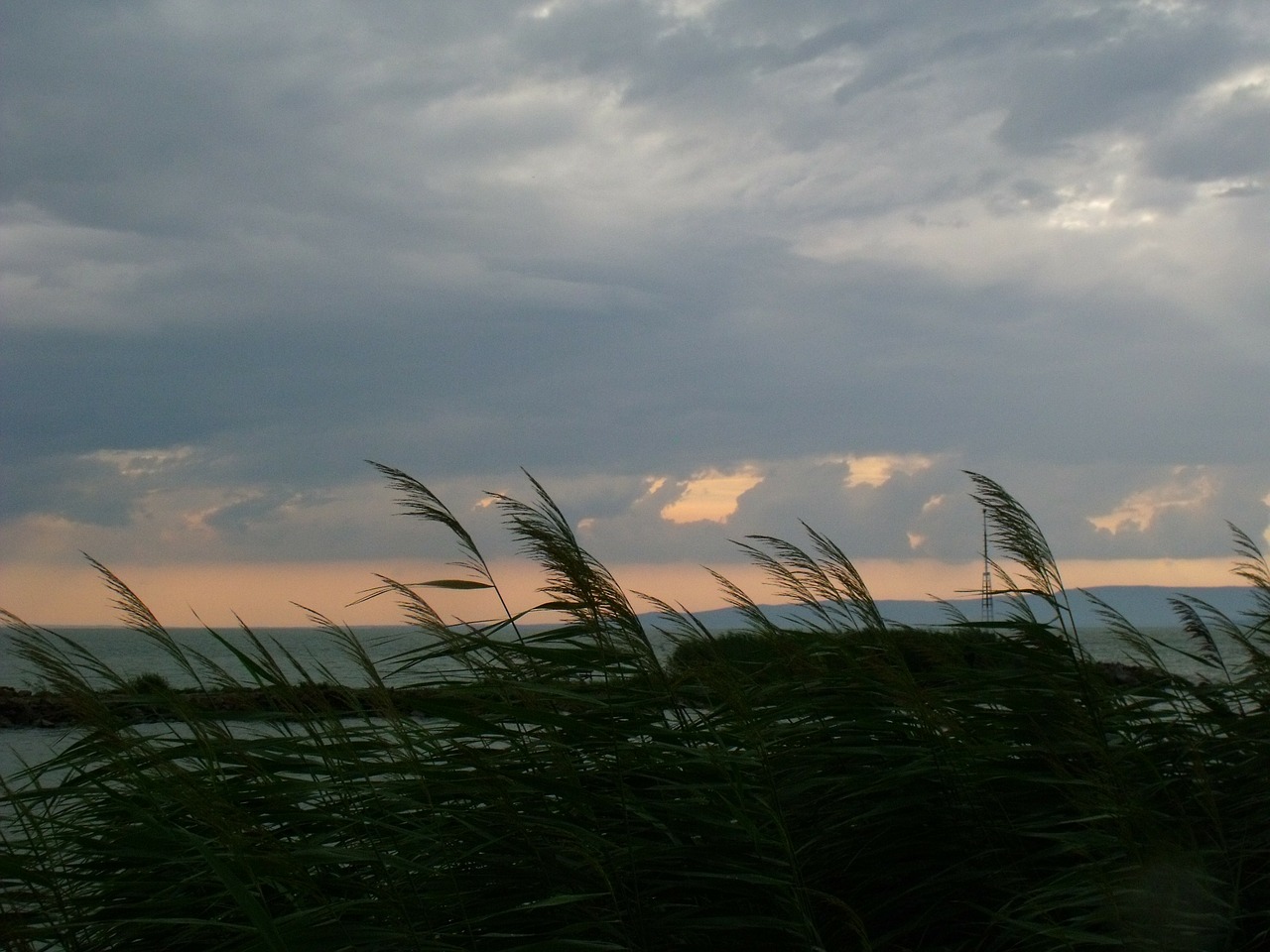 Nendrė, Balaton Ežeras, Naplemenete, Nemokamos Nuotraukos,  Nemokama Licenzija