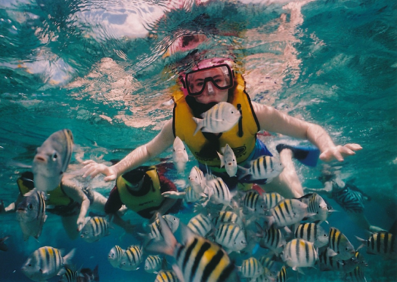 Rifas Snorkeling, Snorkeleris, Rifas, Povandeninis, Jūra, Vanduo, Karibai, Cozumel, Meksika, Atogrąžų